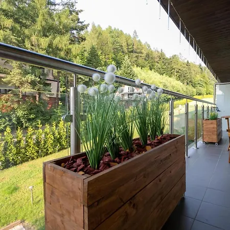 Kurort Kozubnik Daglezja - Dream