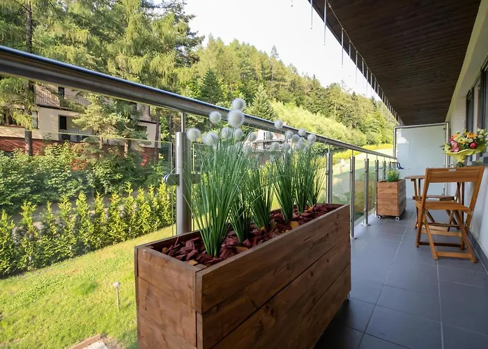 Kurort Kozubnik Daglezja - Dream