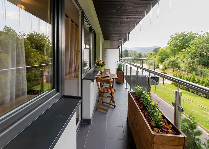 Kurort Kozubnik Daglezja - Dream * Porabka