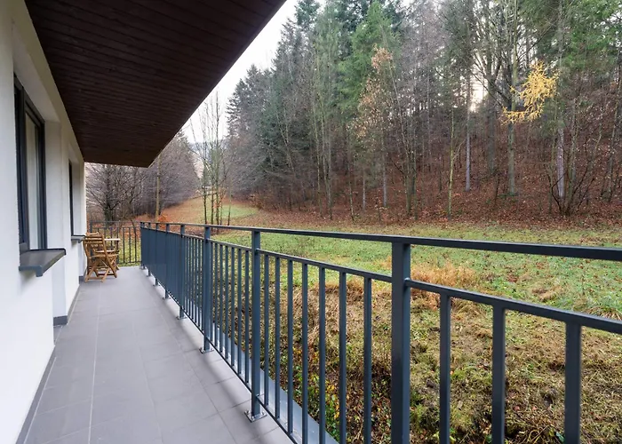 Kurort Kozubnik Daglezja - Dream